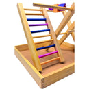 Espaço Divertido para Calopsitas - Escadas e Brincadeiras que Encantam