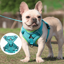 Peitoral Confortável com Guia Grátis para Cães