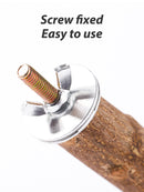 Poleiro Natural Premium para Pássaros - Conforto e Liberdade Diária