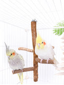 Poleiro Natural Premium para Pássaros - Conforto e Liberdade Diária