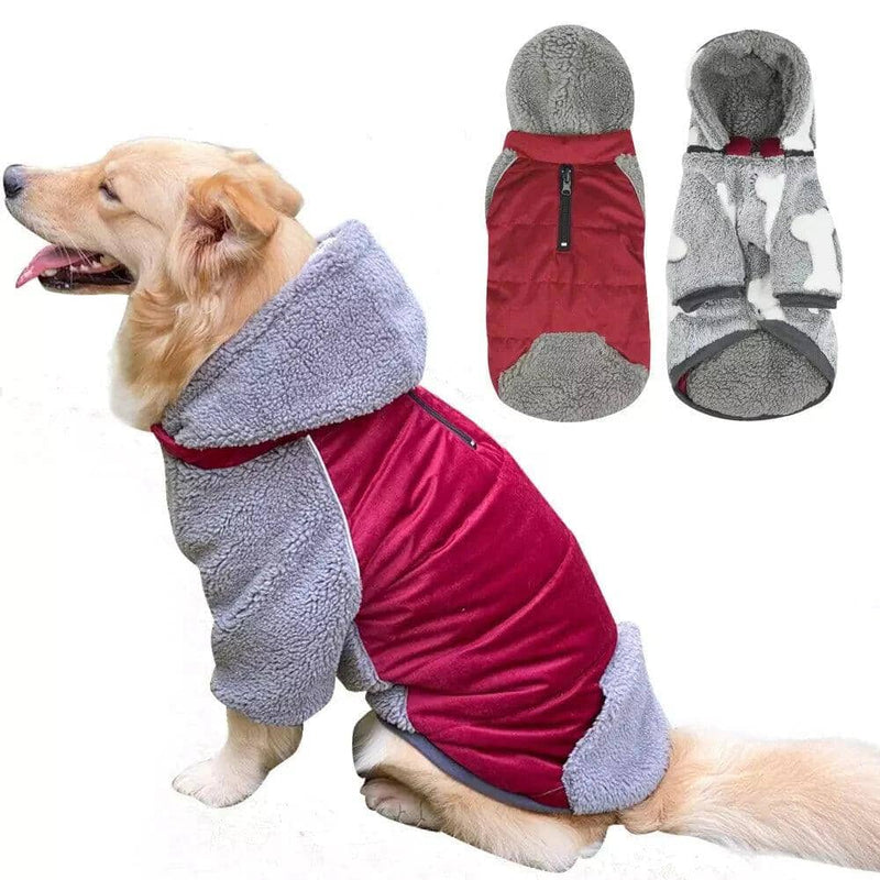 Roupa Quente e Confortável para Cães – Estilo e Proteção nos Dias Frios