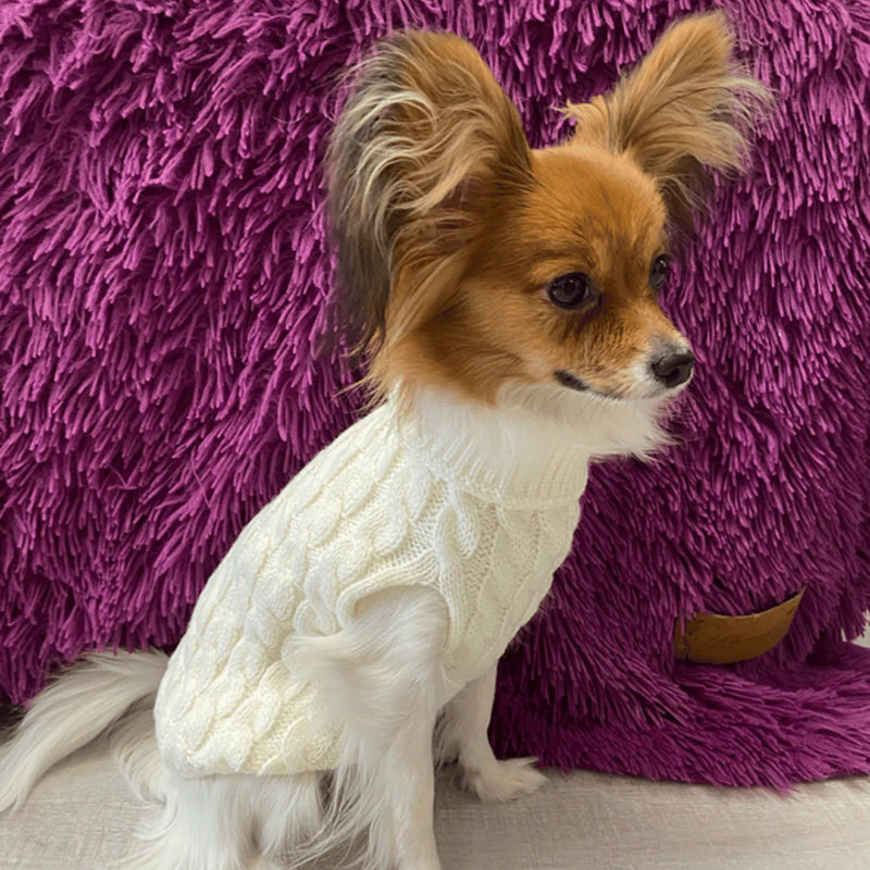 Suéter de Lã Confortável para Cães