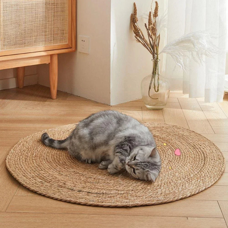 Tapete Arranhador de Sisal Peludita-OFERTA ESPECIAL