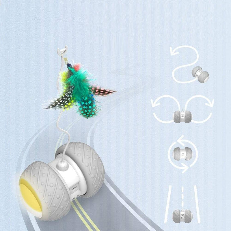 SmartCat – Brinquedo Interativo Que Enriqueca a Vida do Seu Gato