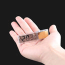 Termômetro Digital para Aquário – Precisão Confiável e Cuidado para Seu Peixe