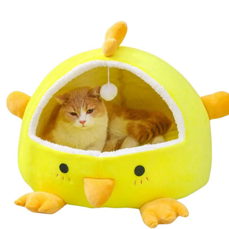 Refúgio Aconchegante Piu Piu para Gatos e Cachorros