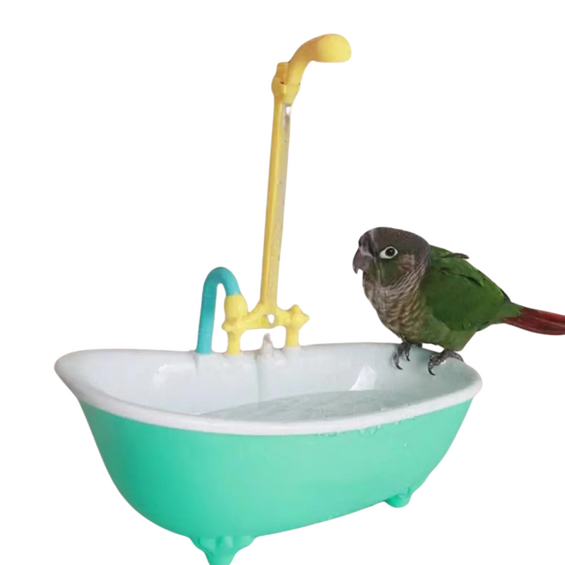 Banho Automático para Aves: Piscina com Fonte para Papagaios, Periquitos e Calopsitas